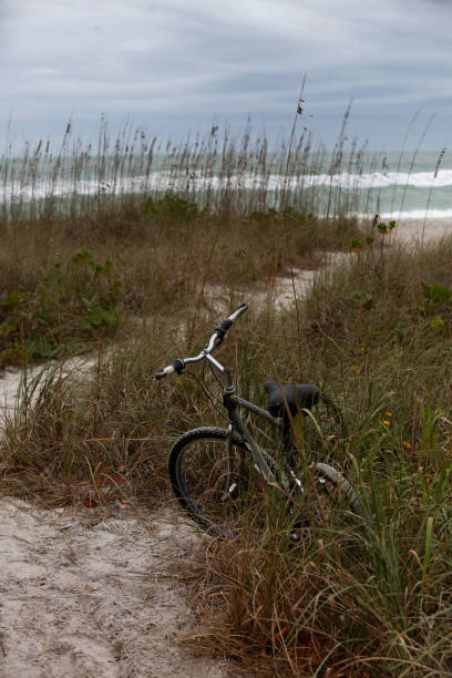 Bicycle on a Beach A bicycle is parked on the trail to a beach on Longboat Key in Florida. longboat key stock pictures, royalty-free photos & images