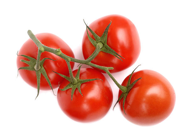 istock Branch with mellow tomatoes isolated on white 119644144