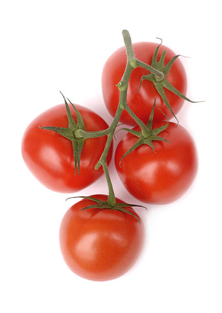 istock Red tomatoes branch isolated on white 119644228