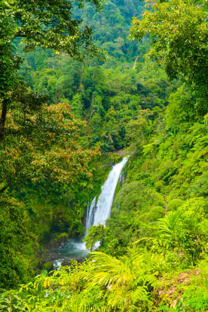 istock Sigomblang waterfall from a distance 1196443060