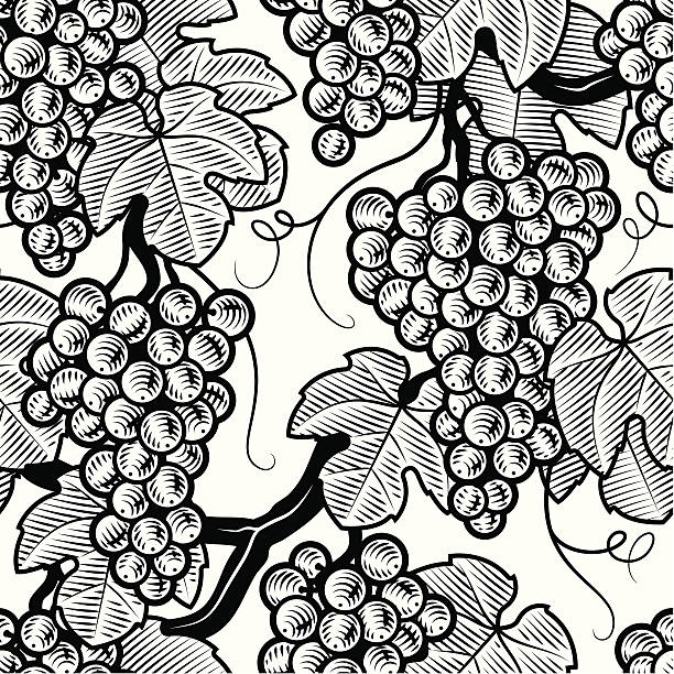 ilustrações de stock, clip art, desenhos animados e ícones de sem costura uva fundo preto e branco - grape bunch fruit stem