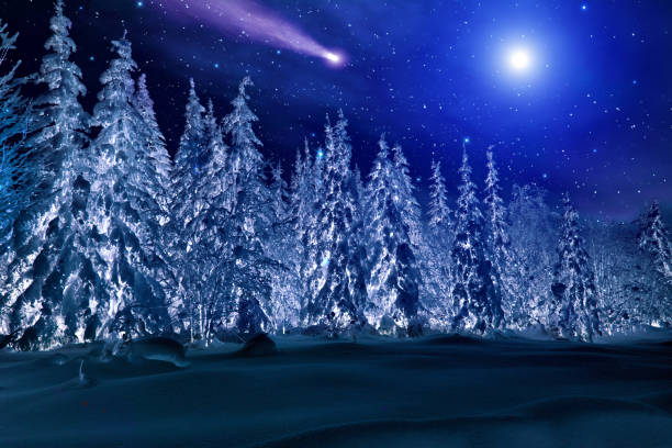 istock Moon and comet over mysterious night winter forest. Winter night landscape. Spruce forest in winter 1196445478