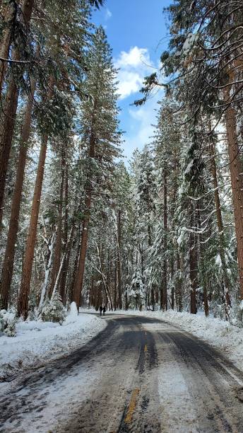 istock Yosemite Valley road in winter. 1196447819