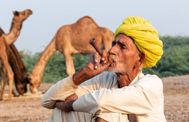 die kamelmesse von pushkar - camel fair stock-fotos und bilder