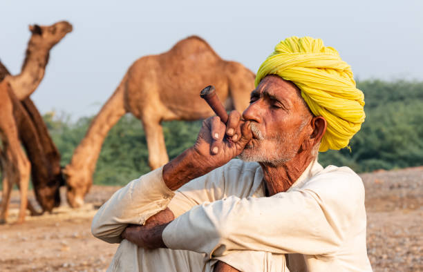 верблюжья ярмарка пушкаря - camel fair стоковые фото и изображения