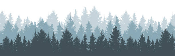 Coniferous winter forest background. Nature, landscape. Pine, spruce, christmas tree. Fog evergreen coniferous trees. Silhouette vector illustration Coniferous winter forest background. Nature, landscape. Pine, spruce, christmas tree. Fog evergreen coniferous trees. Silhouette vector illustration winter silhouettes stock illustrations