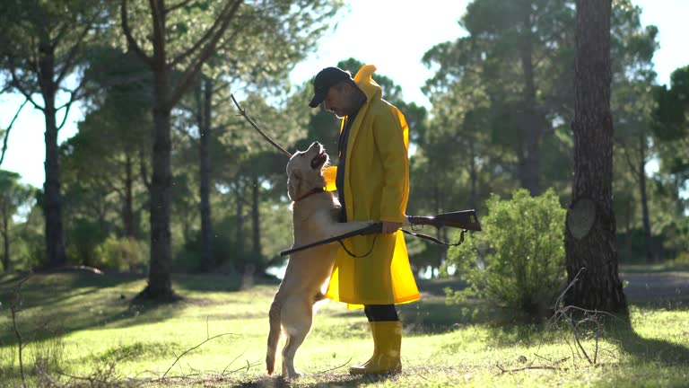 Hunter Man walking with his dog and gun in forest