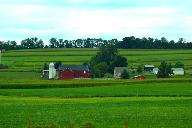 istock Farm on green grass 1196468523