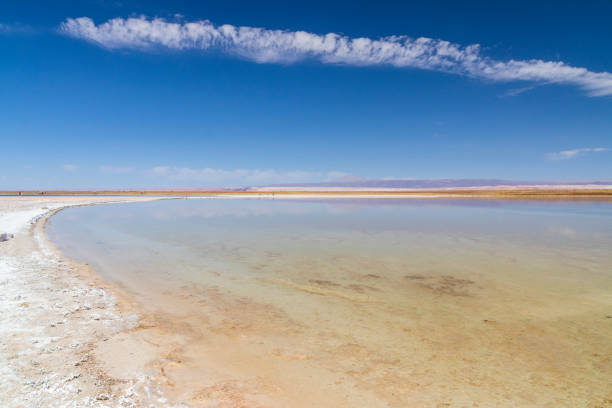 istock Laguna Cejar near San Pedro de Atacama 1196471861