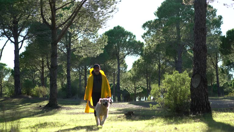 Hunter Man walking with his dog and gun in forest