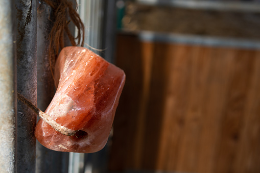 Pink salt lick tied to iron bars of a horse stall as an food additive of minerals - close-up, landscape format, blurred background, copy space