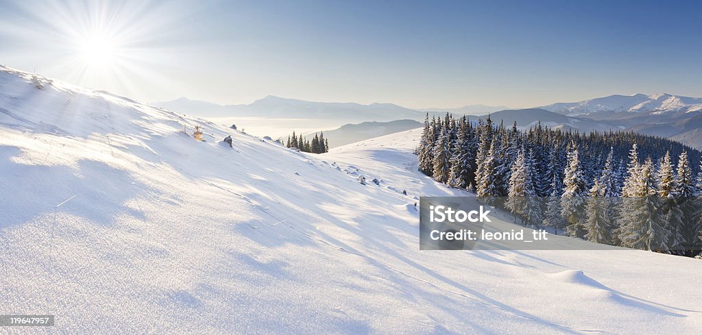 winter landscape  Beauty Stock Photo