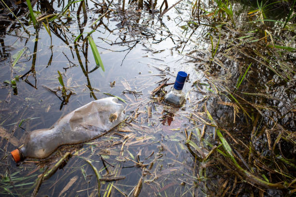 istock carelessly discarded plastic bottles and glass liquor bottles float in a lake 1196480730