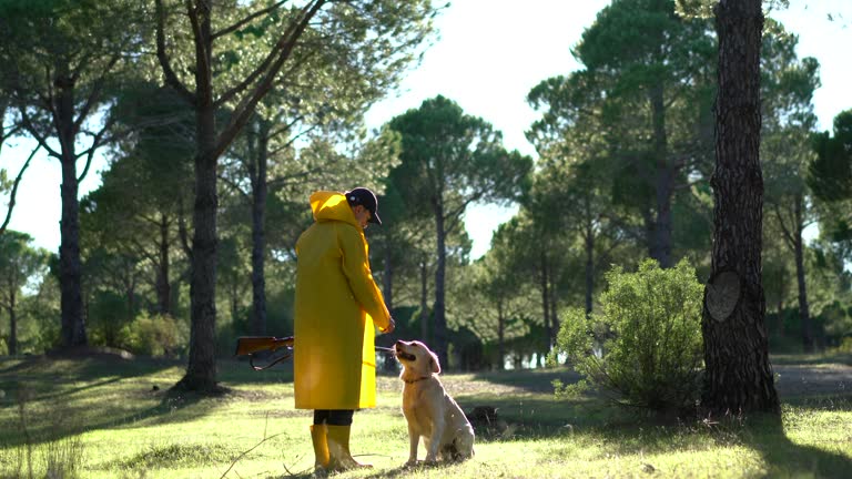 Hunter Man walking with his dog and gun in forest