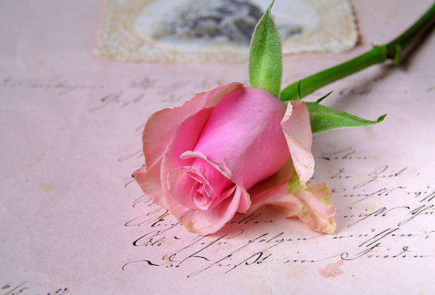 istock Rose on antique letter 119648354