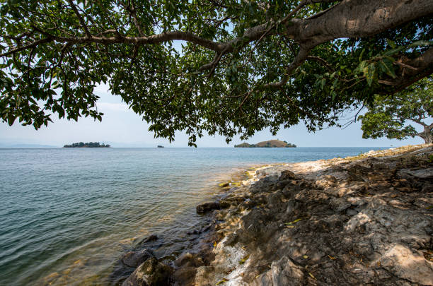 istock Lake Kivu, Rwanda 1196489170