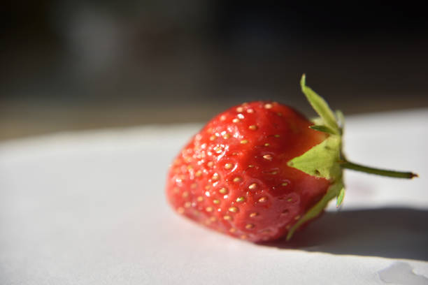 A juicy and tasty freshly harvested red strawberry