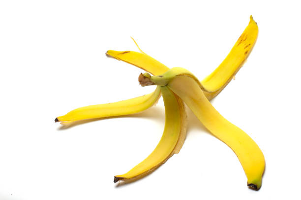 istock Banana peel, compost, organic fertilizer on a white background 1196493020