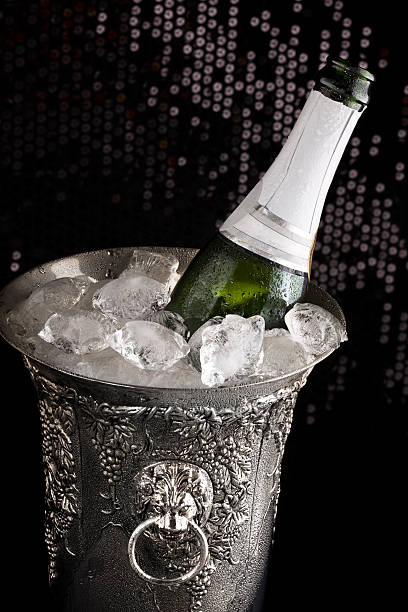 istock Bottle of champagne in cooler 119649764