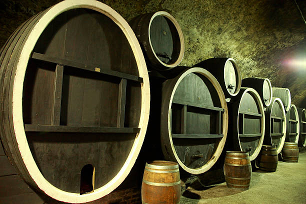istock Giant old wooden barrels 119650145