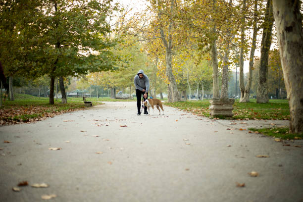 istock Young man is playing with a dog 1196502785