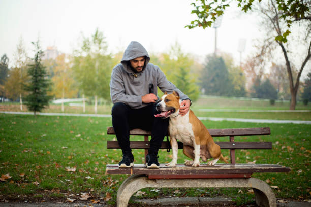 istock Young man in park sitting on bench with his dog 1196502922
