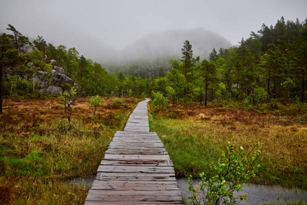 istock hiking to preikestolen plattform in norway 1196503088