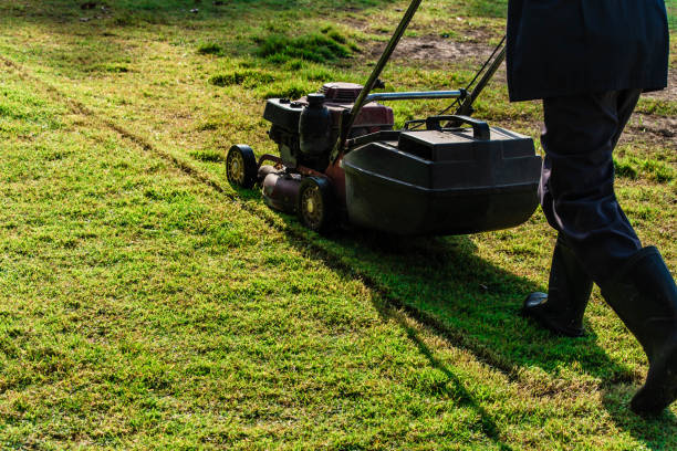 istock Gardener is cutting grass with a mower on the grass field. 1196503963