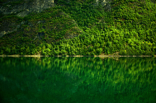 travelling norwegian fjord nature by cruise ship