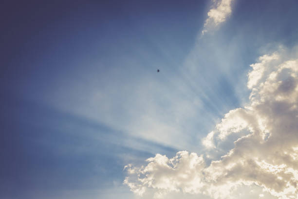 자유와 영성 개념. 푸른 하늘에 새. - stratosphere sun cloud power 뉴스 사진 이미지