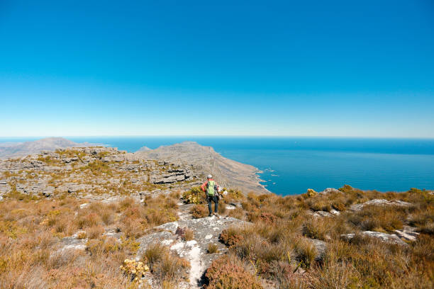 istock a man taking in view on Table Mountain, Cape Town 1196510174