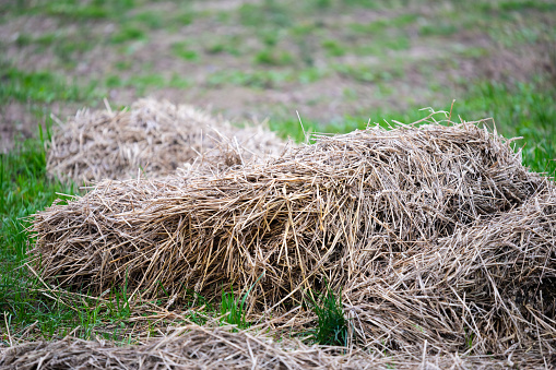 Hay quarders  are ready on a field