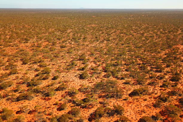 istock Australian red outback from the sky 1196511512