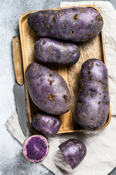 istock Raw purple potatoes on a chopping Board. Gray background. Top view 1196512495