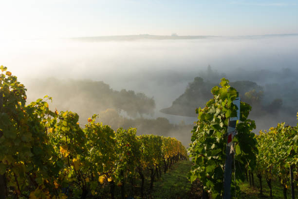 istock View onto Main river hardly visible through the fog 1196515378