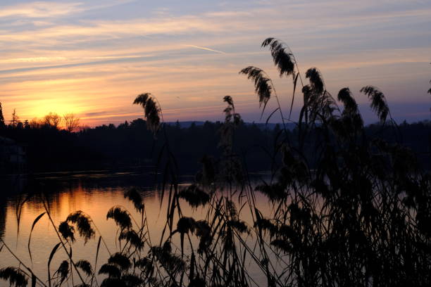 istock sunset on lake maggiore 1196518267