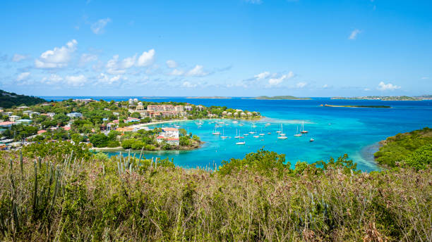istock Cruz Bay Saint John 1196518889