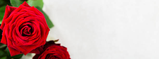 istock Bunch of Red Roses for St Valentines Day 1196519315