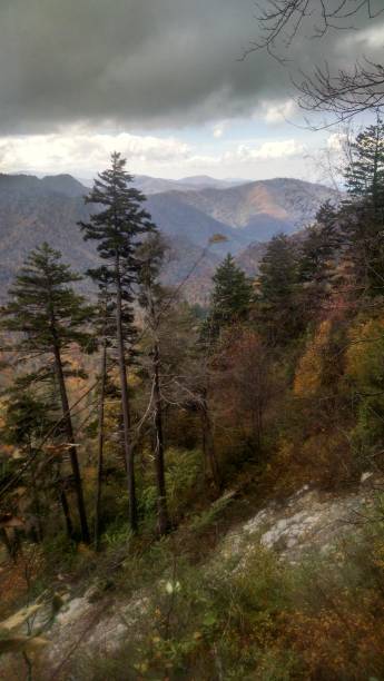istock Smokey mountains in the fall 1196522527