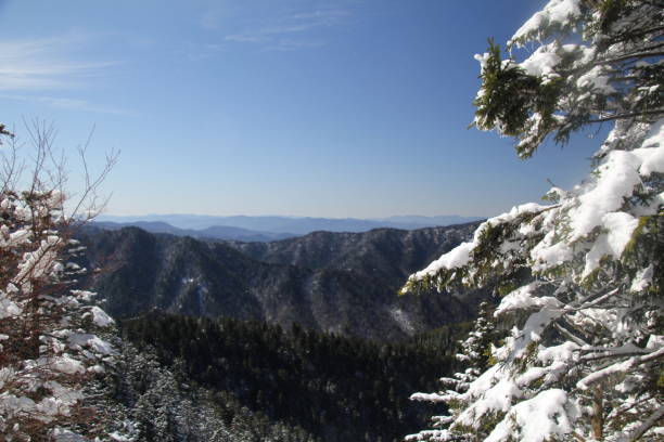 istock Smokey mountains in the winter 1196522691