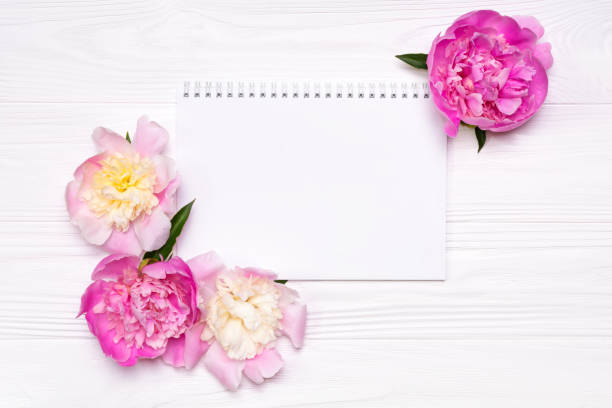 istock Empty notebook with place for text and peonies flowers on a white wooden background. View from above. 1196523398