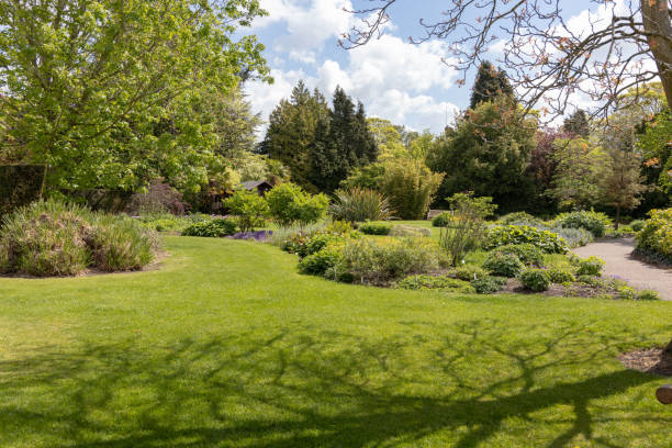 istock English Country Garden 1196523835