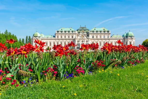 palazzo e giardini del belvedere superiore, vienna, austria - upper austria foto e immagini stock