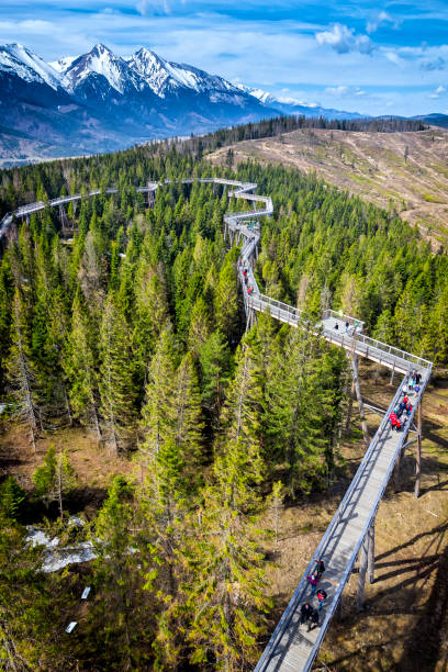 Walking path among the trees in Zdiar, Slovakia