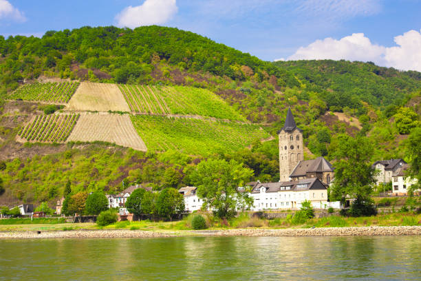 istock Sankt Goar, Germany as seen from Rhine River 1196529464