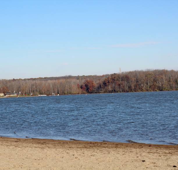 istock Peaceful Sunny Day at the Lake 1196531744