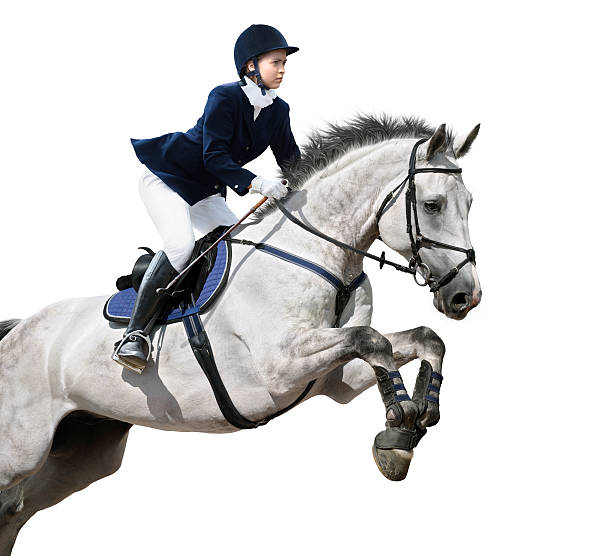 Woman on white horse leaping on white background  Young girl jumping with grey horse - isolated on white equestrian show jumping stock pictures, royalty-free photos & images