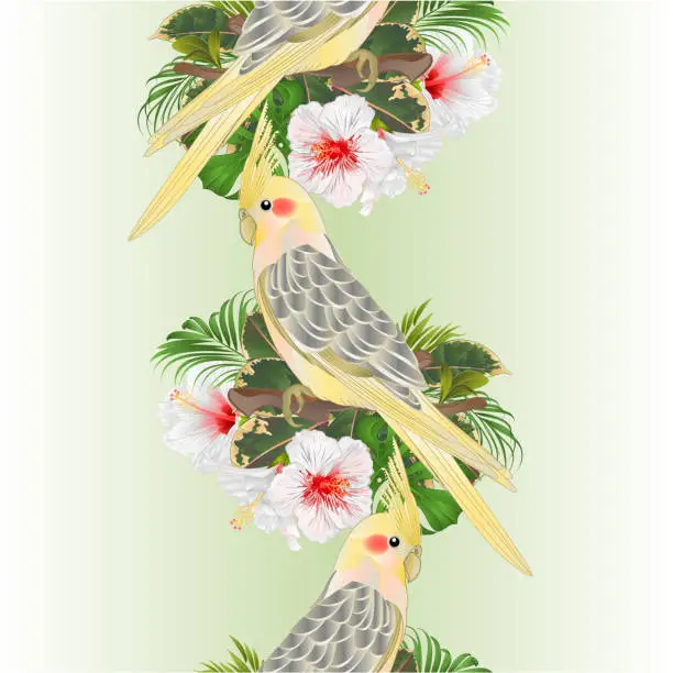 Vector illustration of Vertical border seamless background funny  parrot yellow cockatiel cute tropical bird  and white hibiscus watercolor style on a green background vintage vector illustration editable