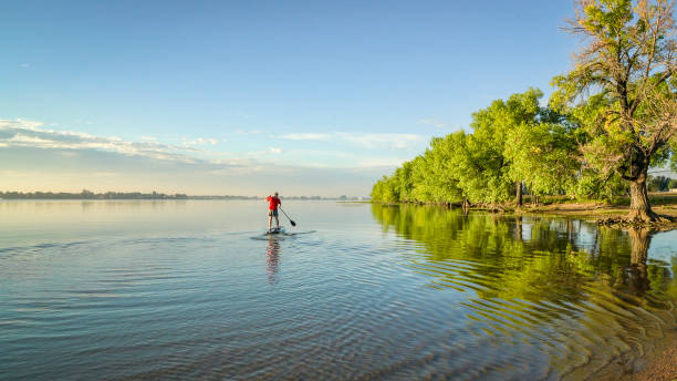 istock paddling stand up paddleboard on a lake 1196534658