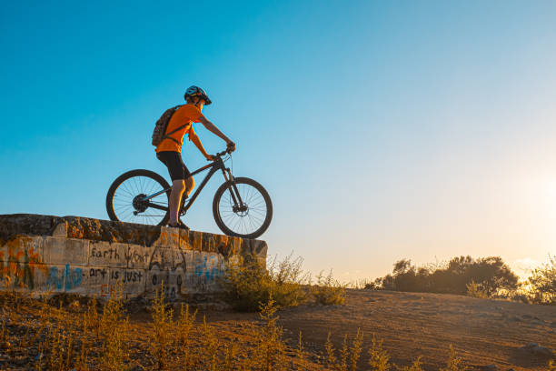 istock Teenager Boy Mountain Biking Celebration 1196535274